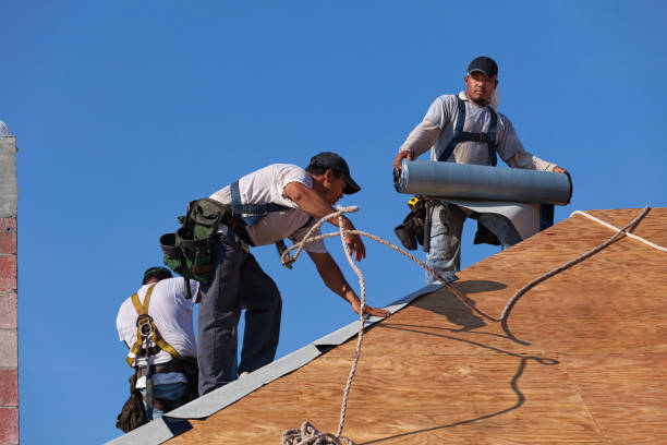 Best Flat Roof Repair Services  in New Albany, MS