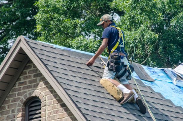 Best Local Roofing Companies  in New Albany, MS
